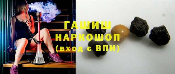 прущие грибы Инта